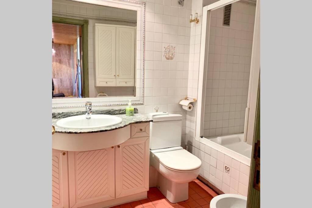 Atico En Biescas Con Piscina, Chimenea Y Garaje Apartment Екстериор снимка